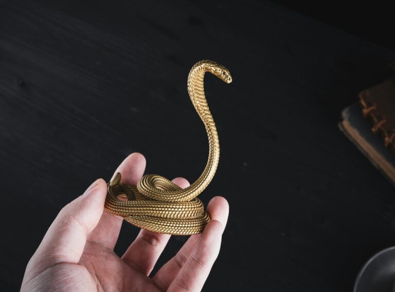 Llekomiss Python Fix