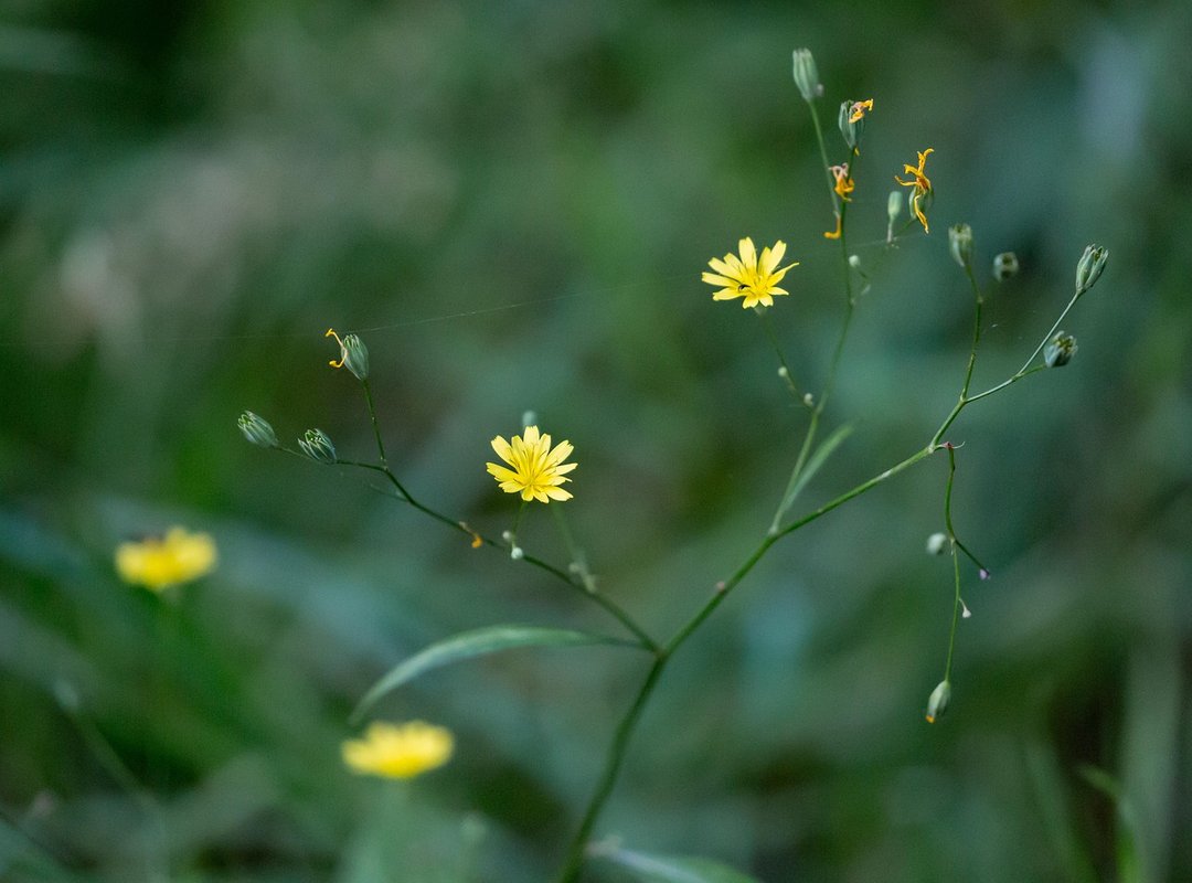 Which Trends Affect Igaming Etrstech