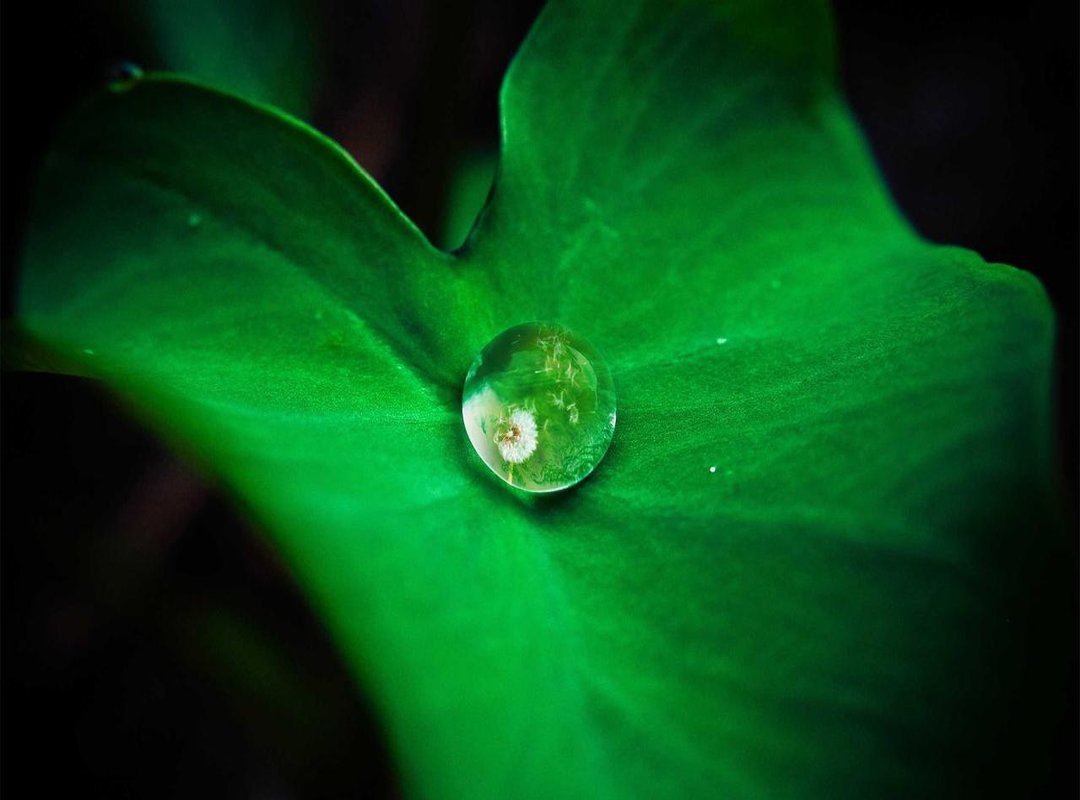 Your First Project: Creating a Custom 3D Good Night GIF in 5 Minutes