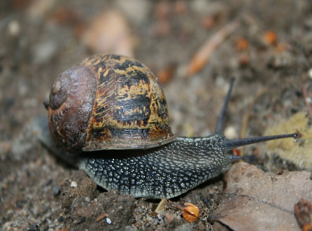 How to Get Started with MommaCelinex in Under 5 Minutes