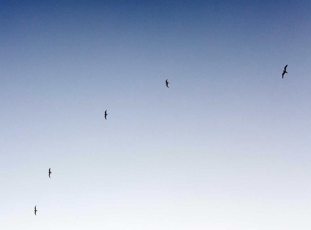 How to Implement This Strategy: A Step-by-Step Guide