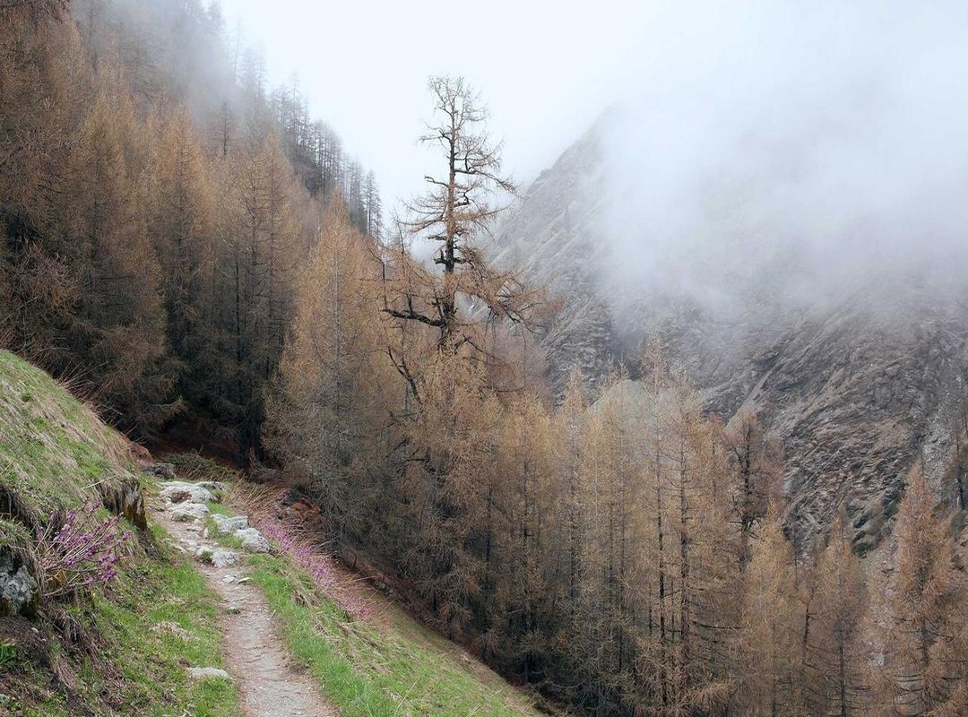 Placement is Everything: Where to Position Your Design