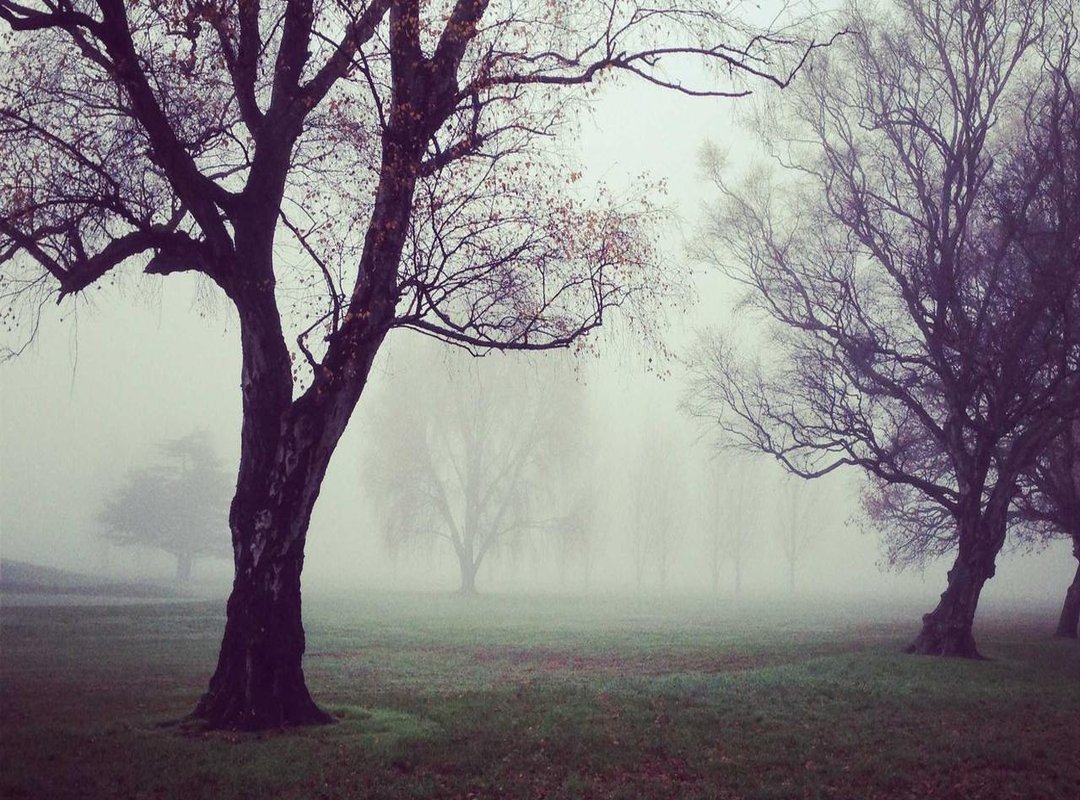 Step 2: Defining the Details That Make Him Unmistakably Stitch