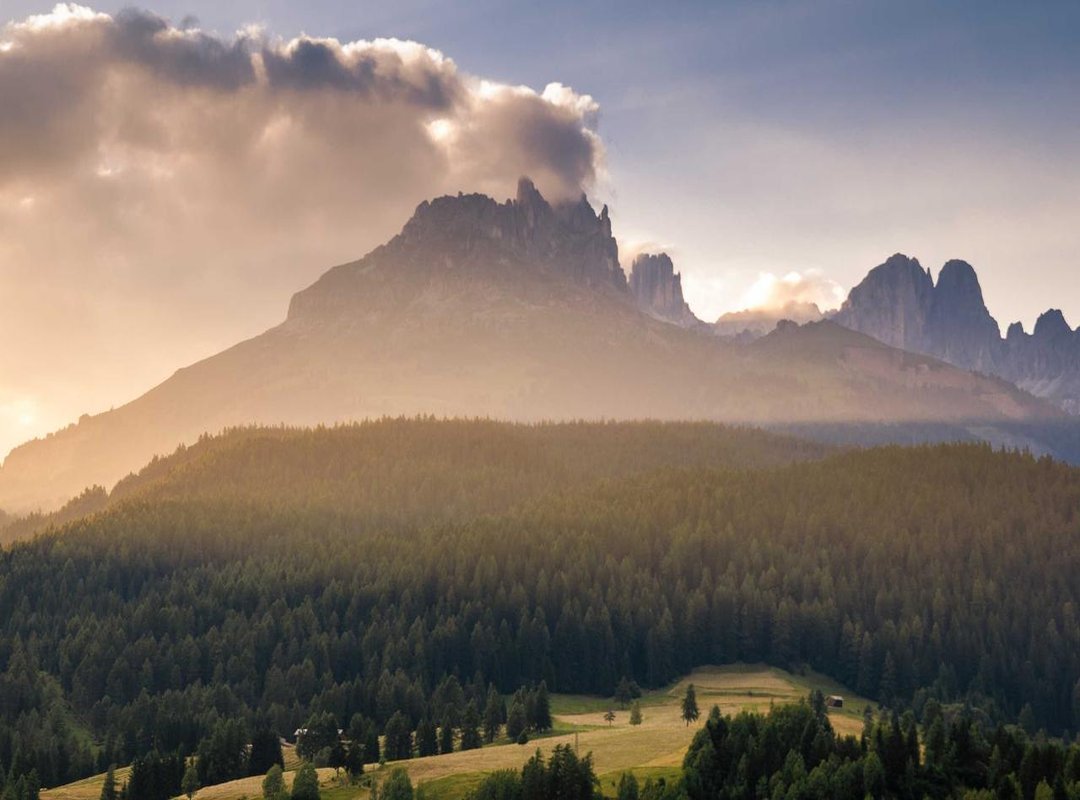 Troubleshooting: What to Do When Downloads Fail